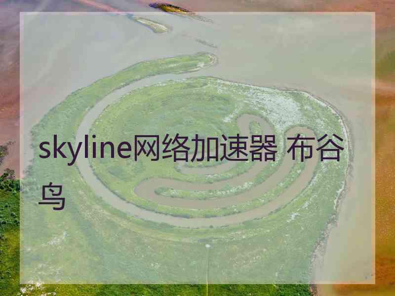 skyline网络加速器 布谷鸟