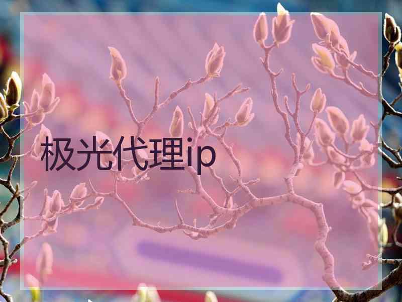 极光代理ip