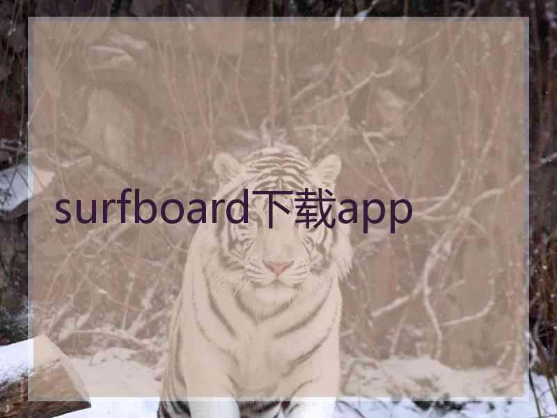 surfboard下载app