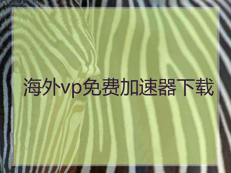 海外vp免费加速器下载