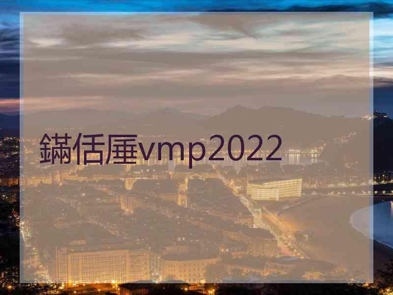 鏋佸厜vmp2022