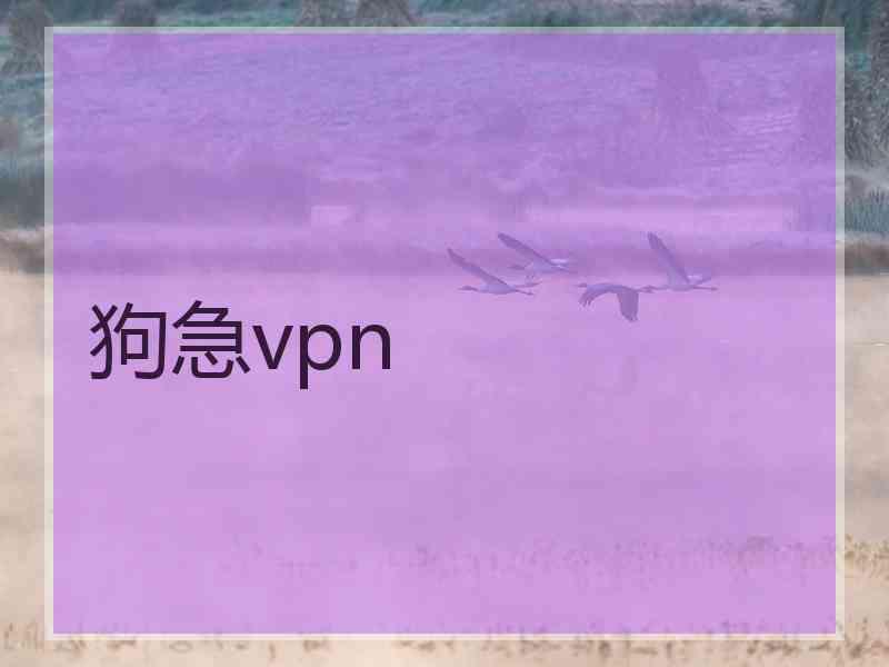 狗急vpn