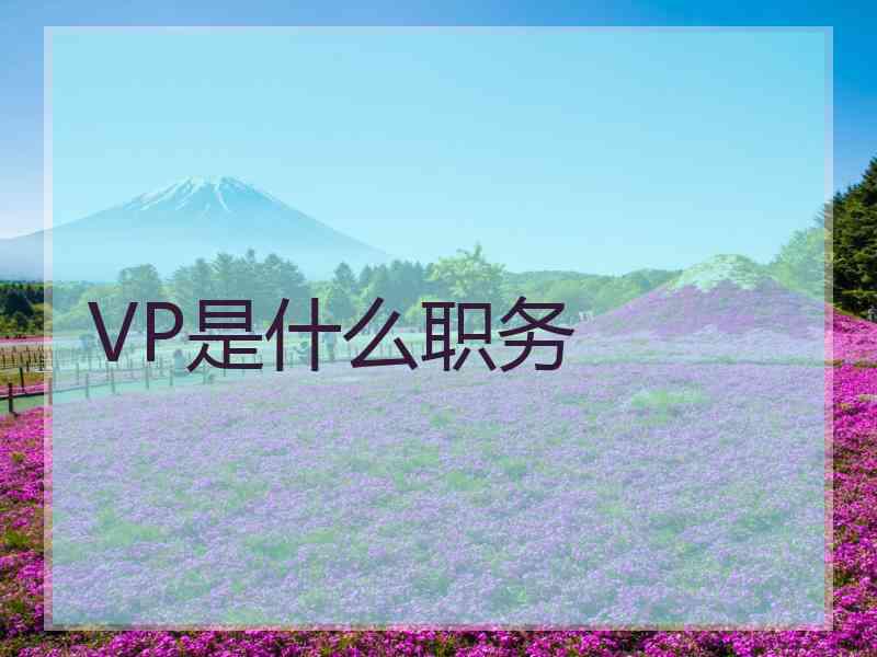 VP是什么职务