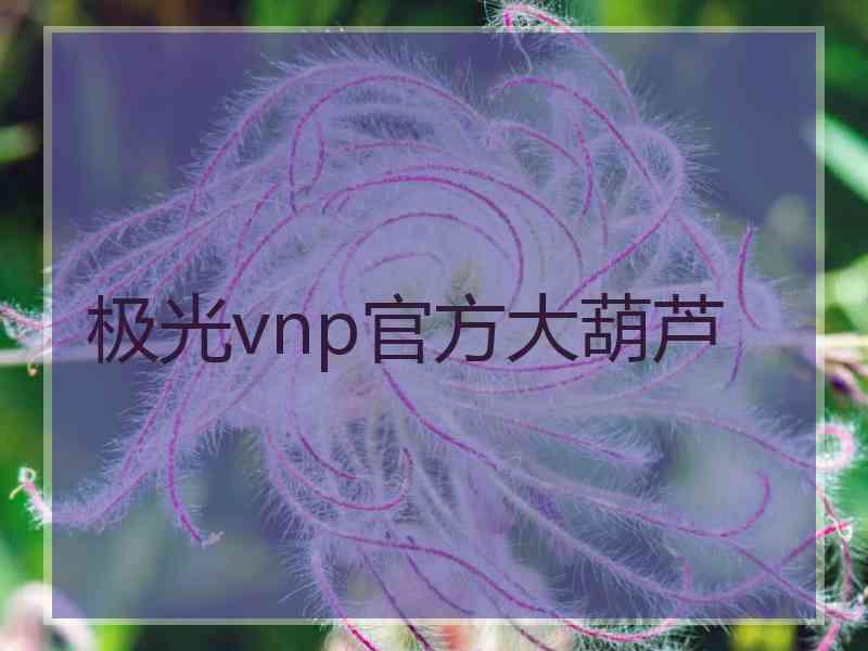 极光vnp官方大葫芦