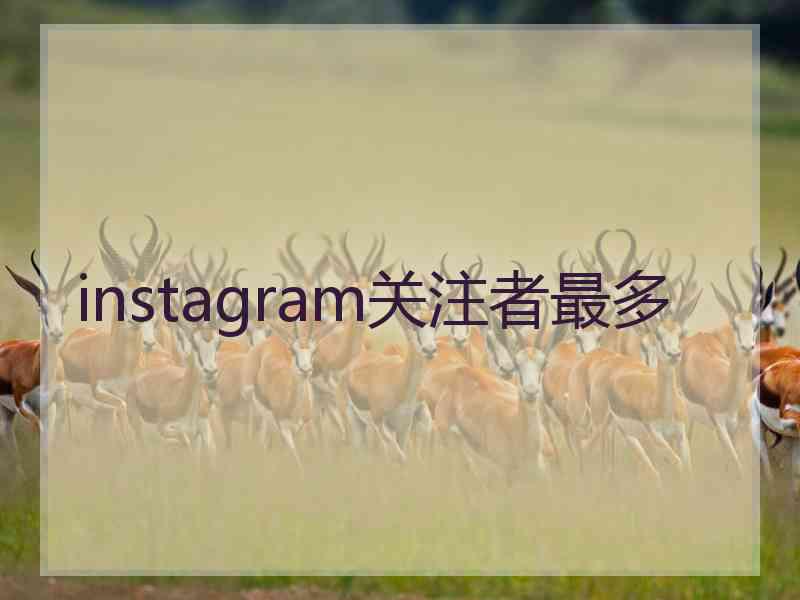 instagram关注者最多