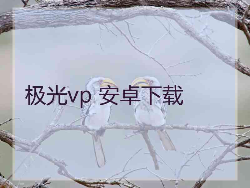 极光vp 安卓下载