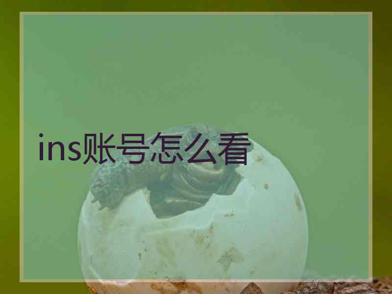 ins账号怎么看