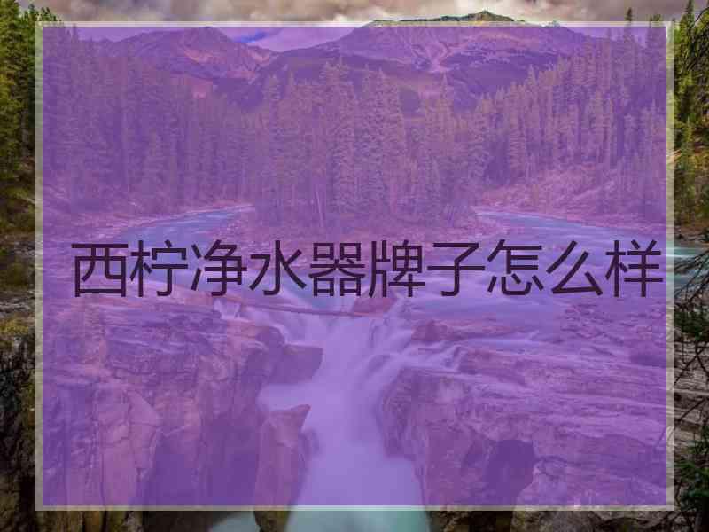 西柠净水器牌子怎么样