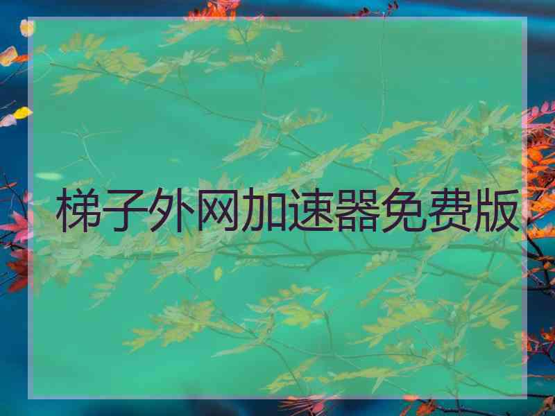 梯子外网加速器免费版