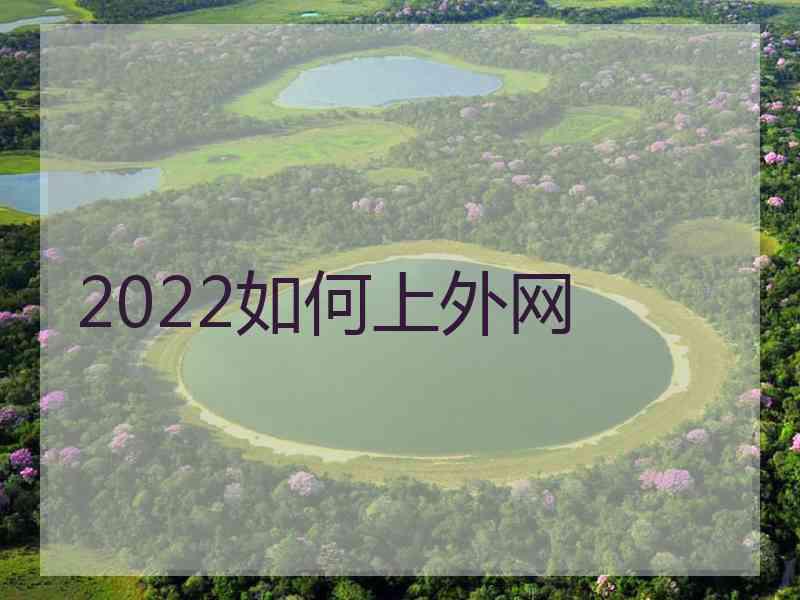 2022如何上外网