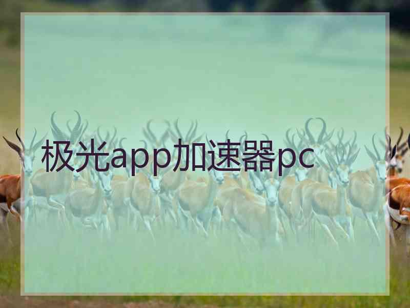 极光app加速器pc