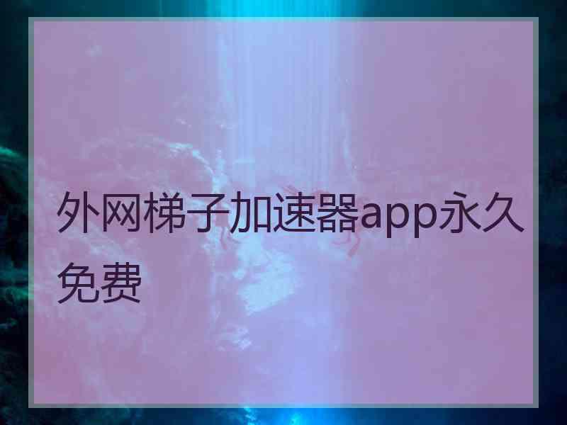 外网梯子加速器app永久免费