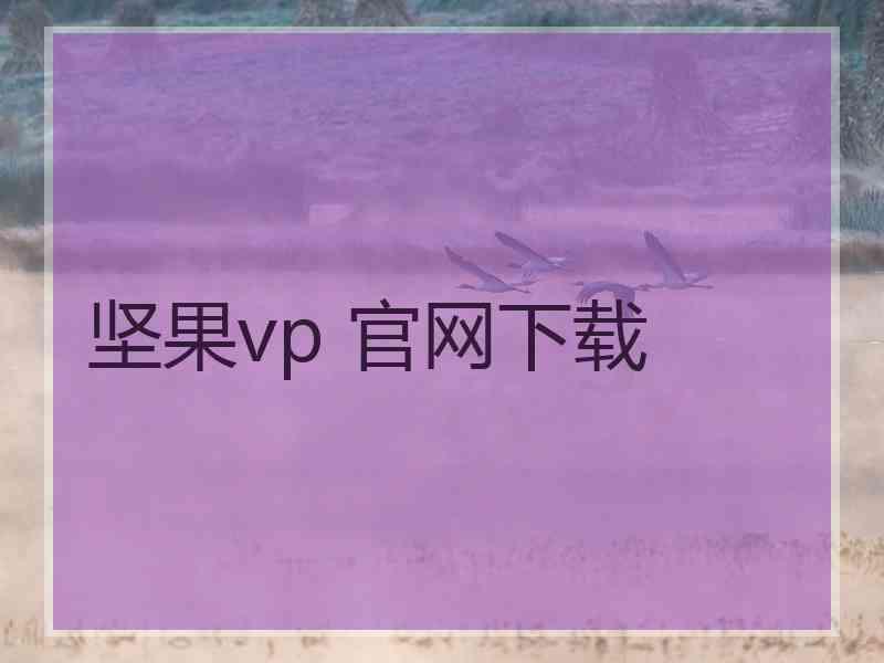 坚果vp 官网下载