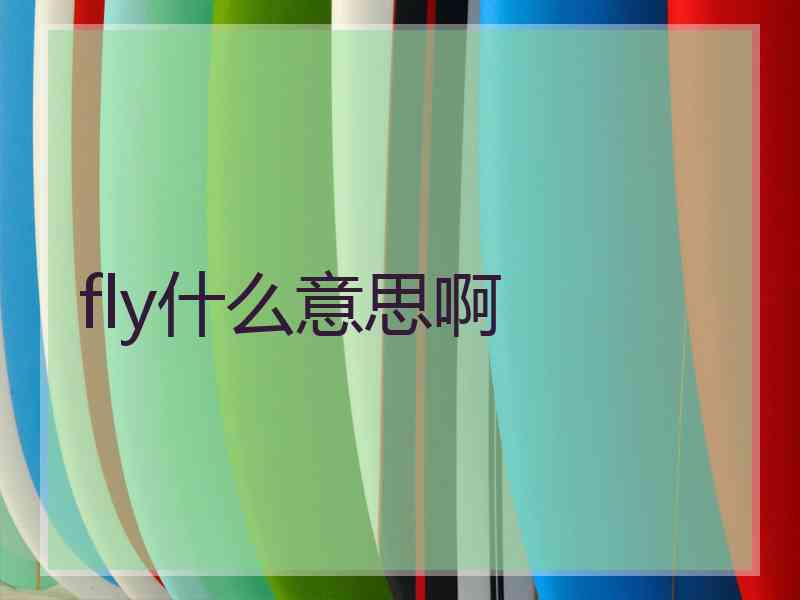 fly什么意思啊