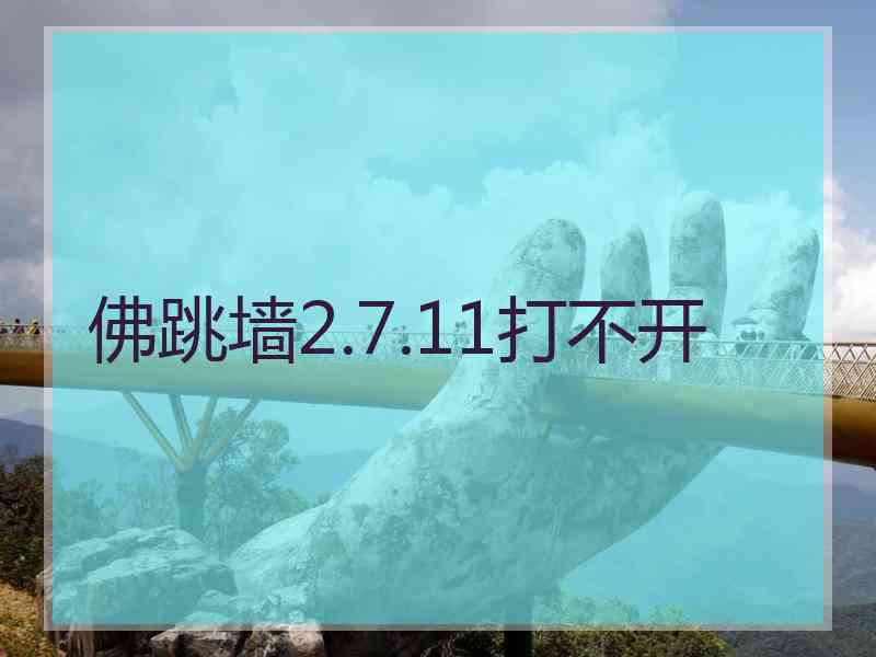 佛跳墙2.7.11打不开