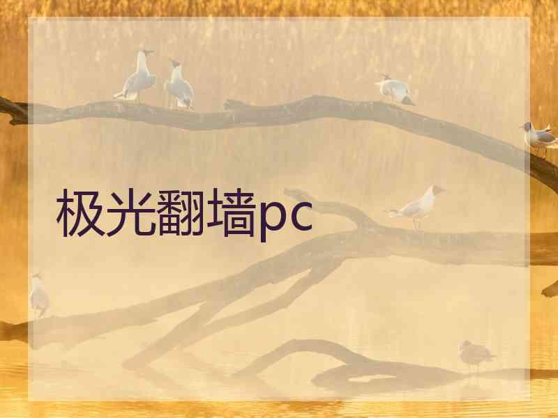 极光翻墙pc