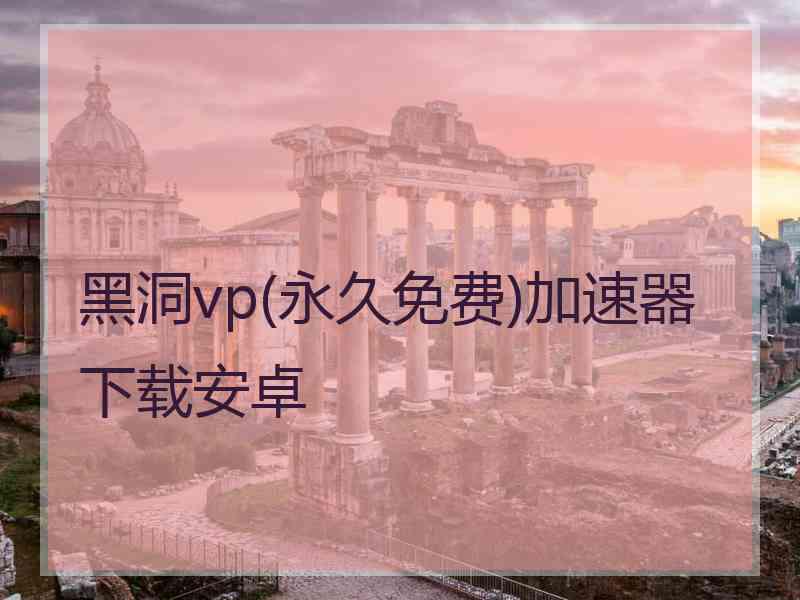 黑洞vp(永久免费)加速器下载安卓