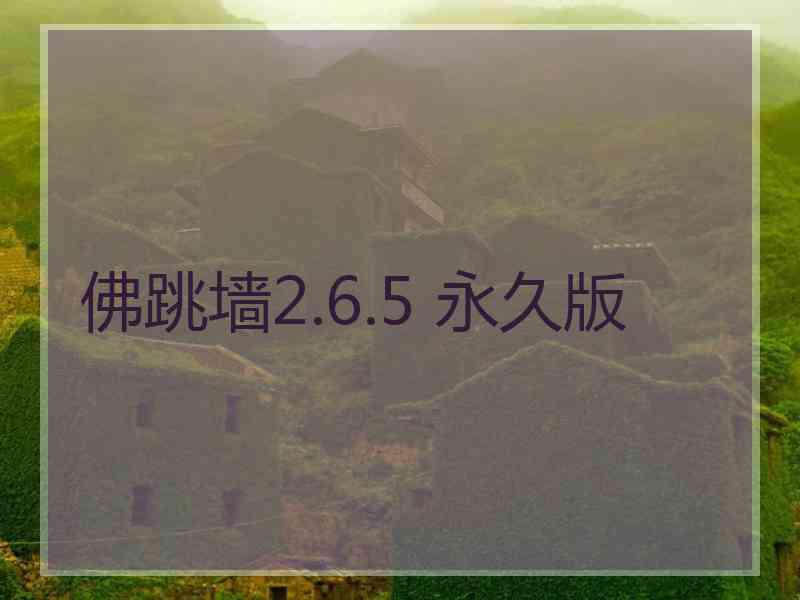 佛跳墙2.6.5 永久版