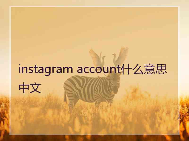 instagram account什么意思中文