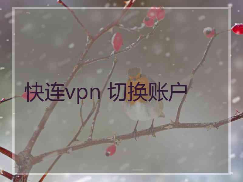 快连vpn 切换账户