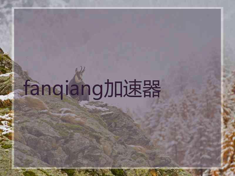 fanqiang加速器