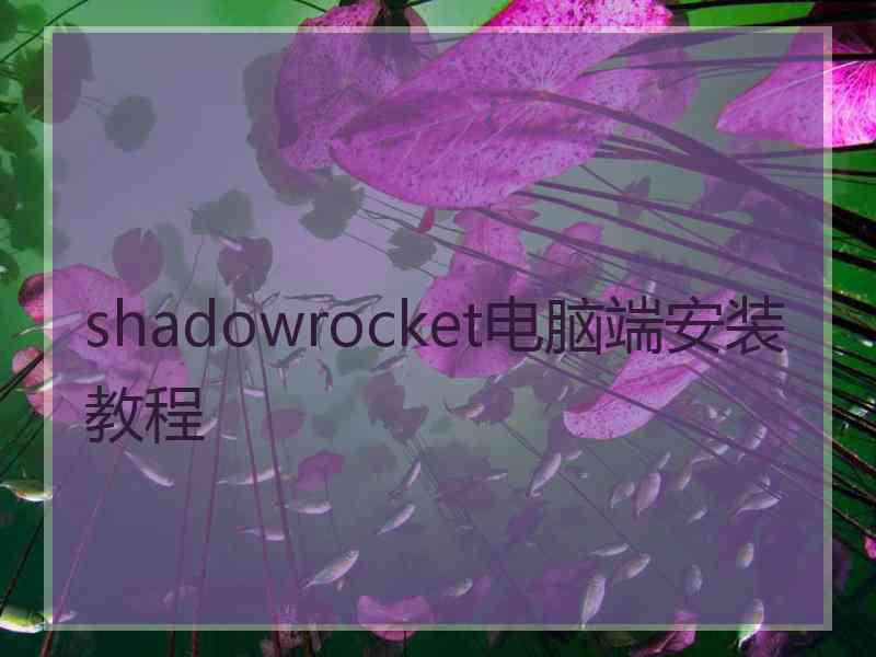 shadowrocket电脑端安装教程