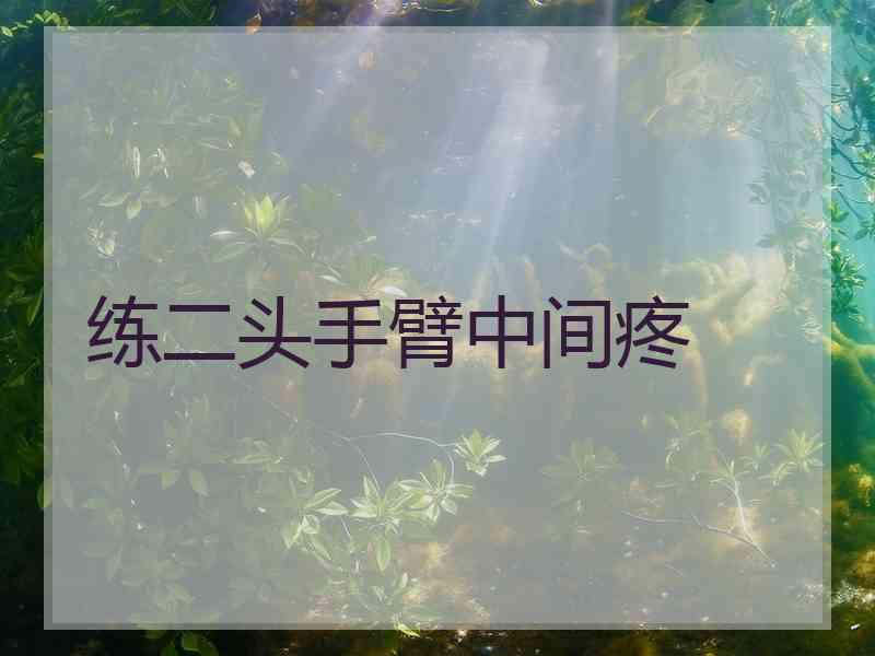 练二头手臂中间疼