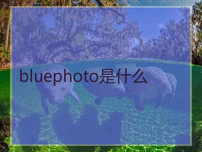 bluephoto是什么