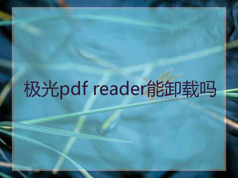 极光pdf reader能卸载吗