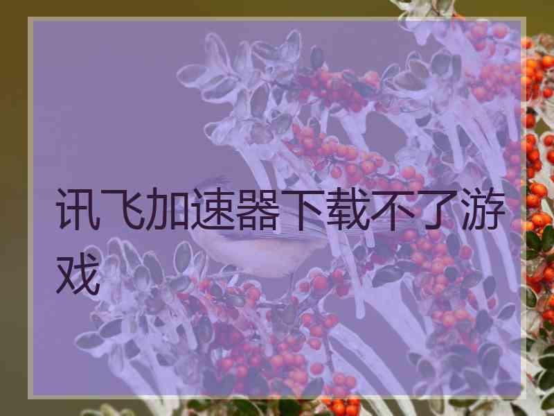 讯飞加速器下载不了游戏