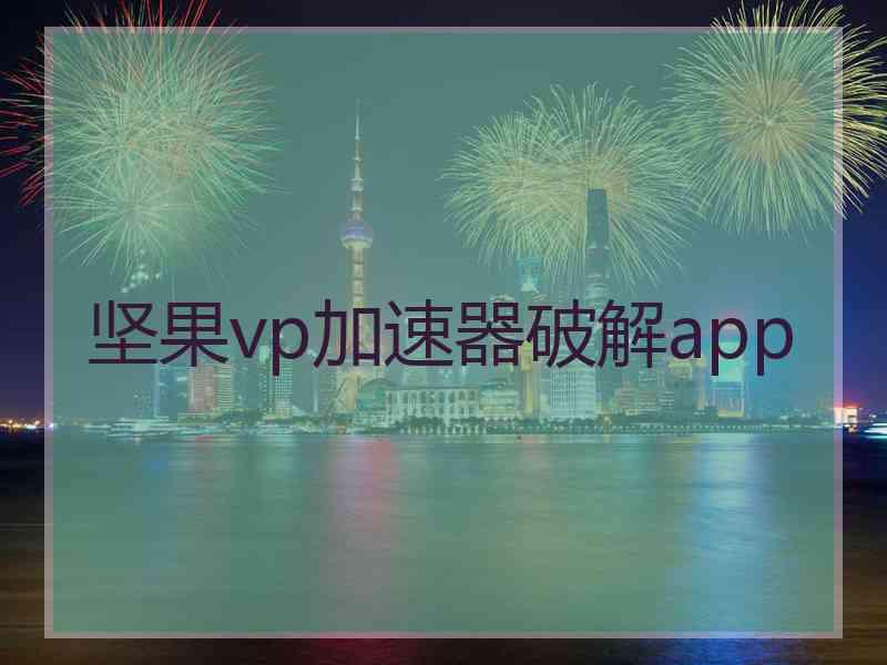 坚果vp加速器破解app