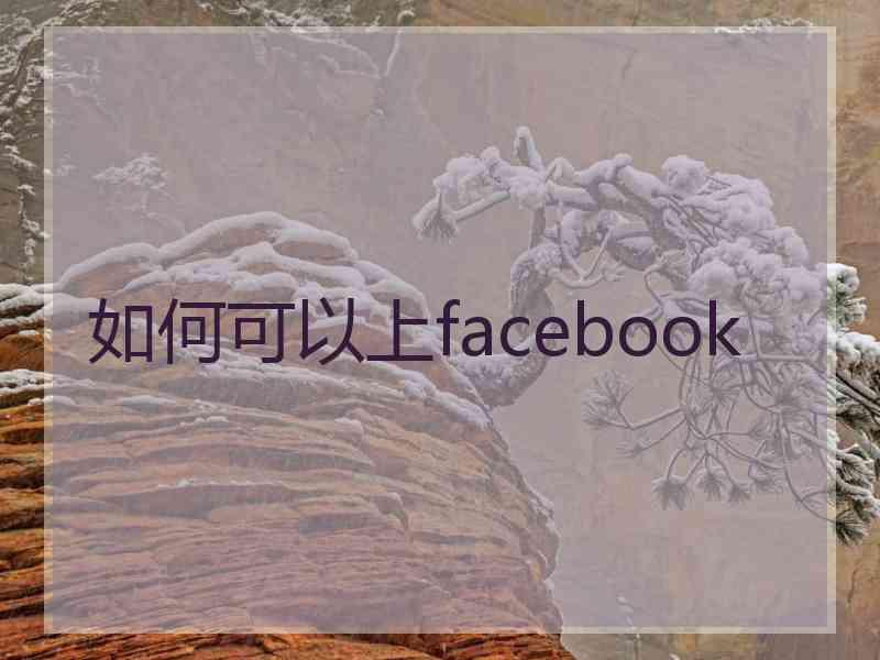 如何可以上facebook