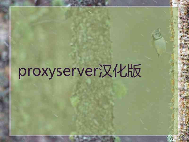 proxyserver汉化版