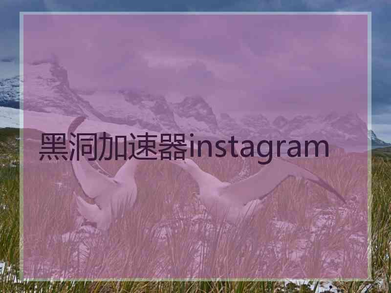 黑洞加速器instagram