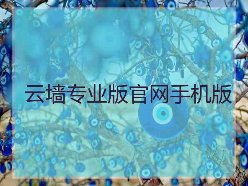 云墙专业版官网手机版