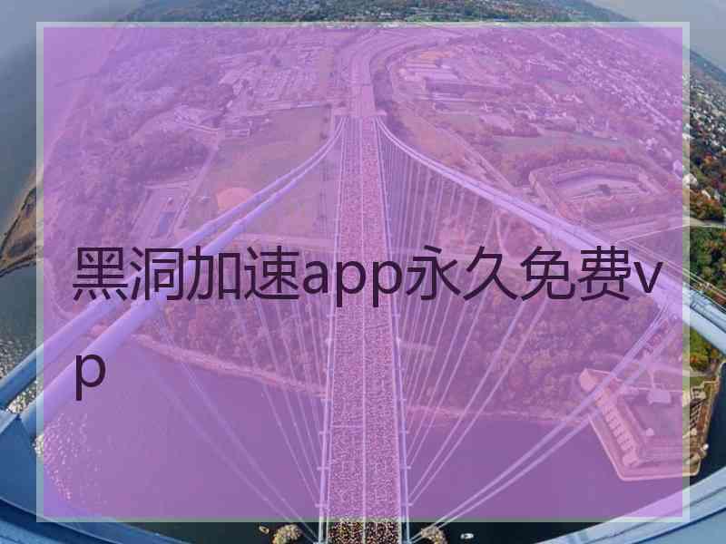 黑洞加速app永久免费vp