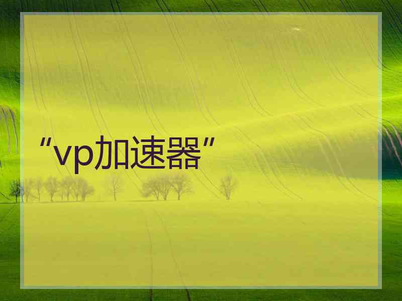 “vp加速器”