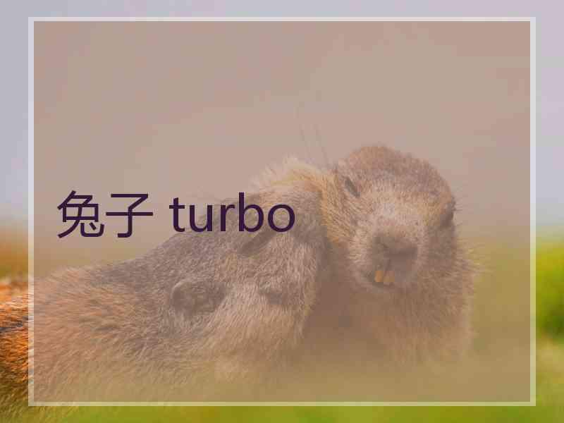 兔子 turbo