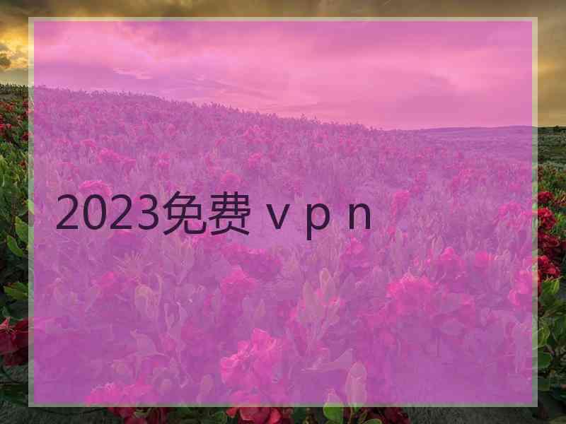 2023免费 v p n