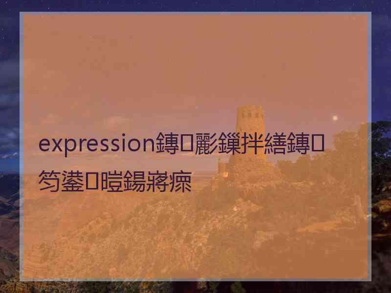 expression鏄彲鏁拌繕鏄笉鍙暟鍚嶈瘝