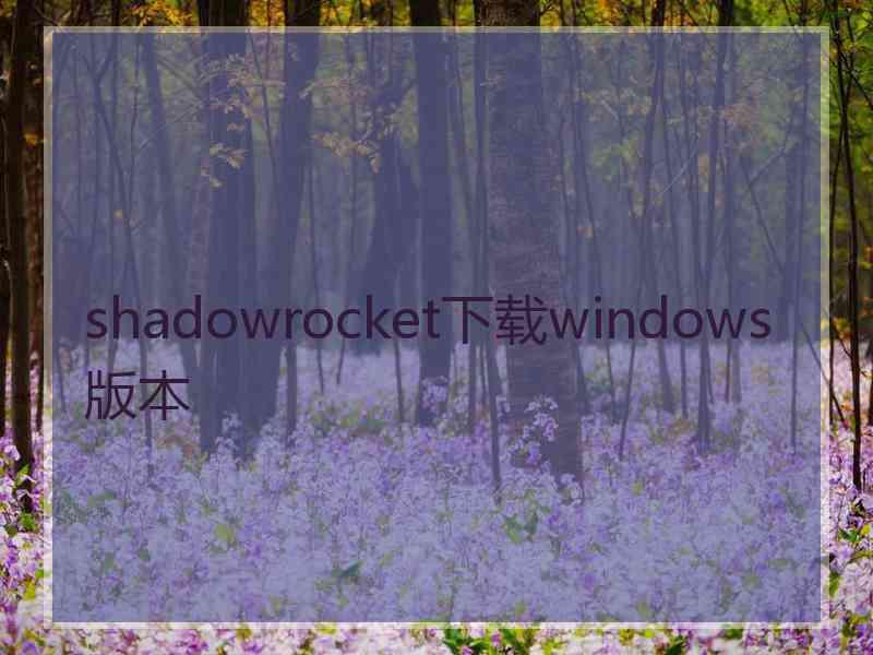 shadowrocket下载windows版本