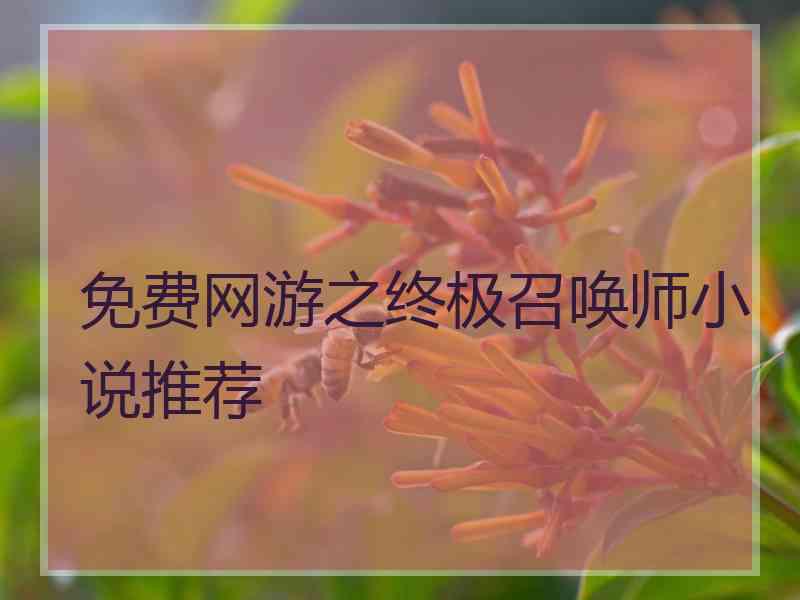 免费网游之终极召唤师小说推荐