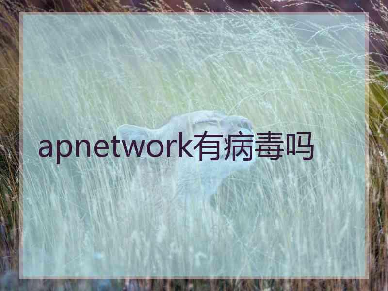 apnetwork有病毒吗