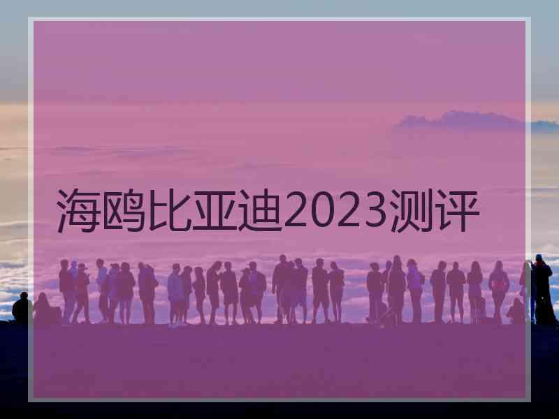 海鸥比亚迪2023测评