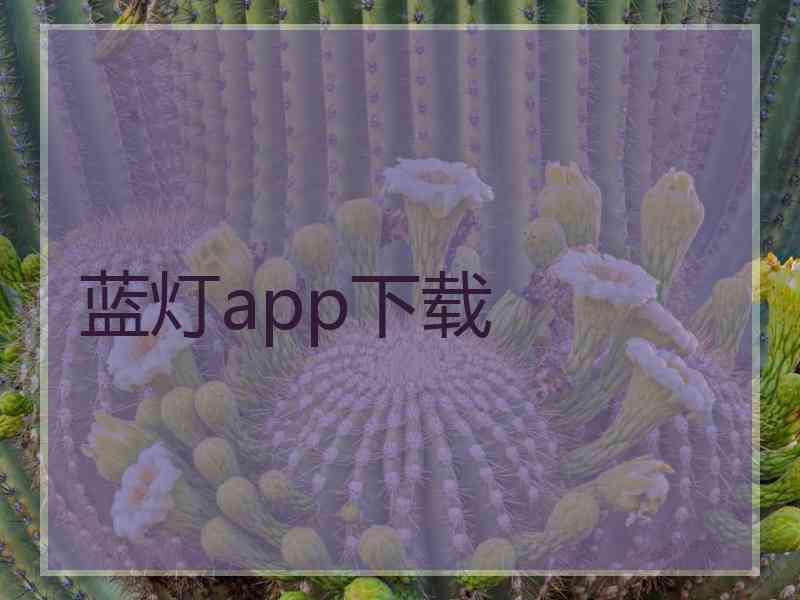 蓝灯app下载