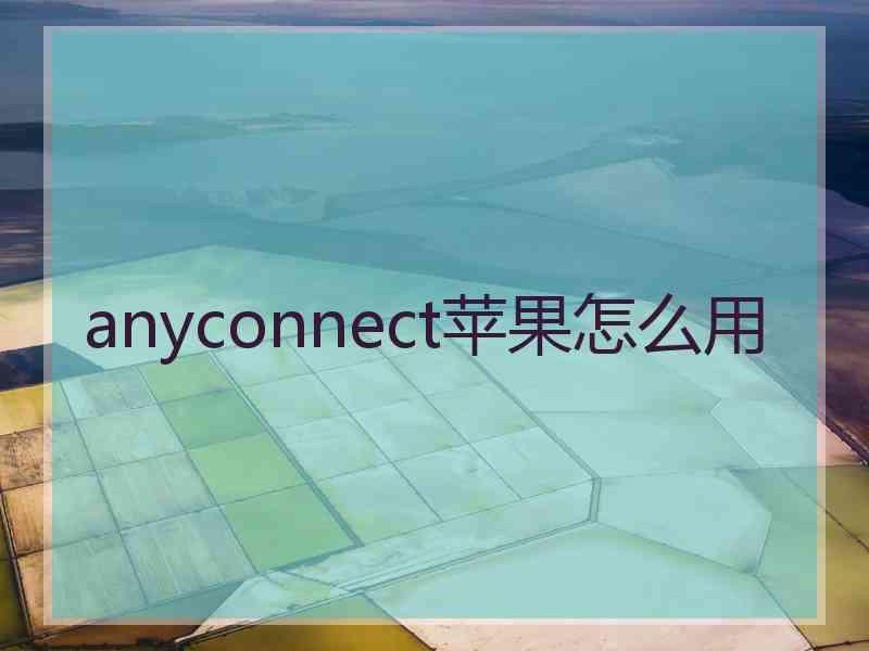 anyconnect苹果怎么用