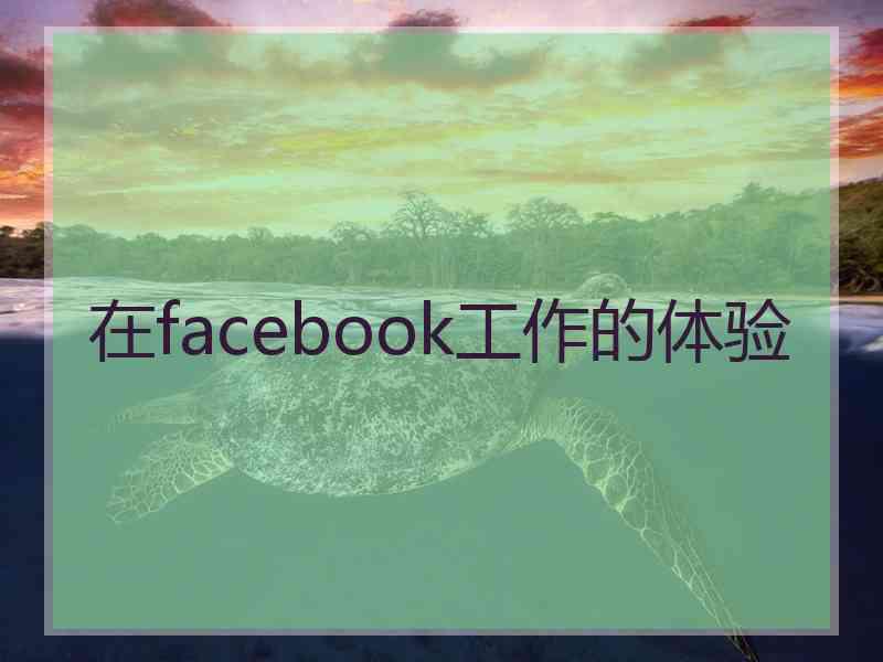 在facebook工作的体验