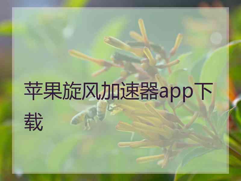 苹果旋风加速器app下载