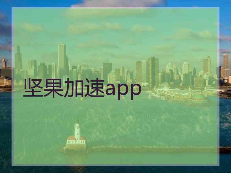 坚果加速app