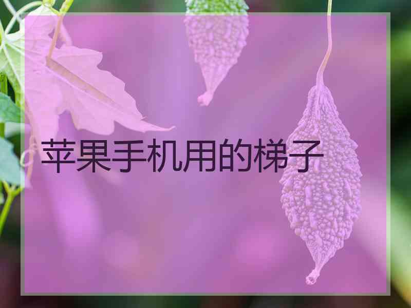 苹果手机用的梯子